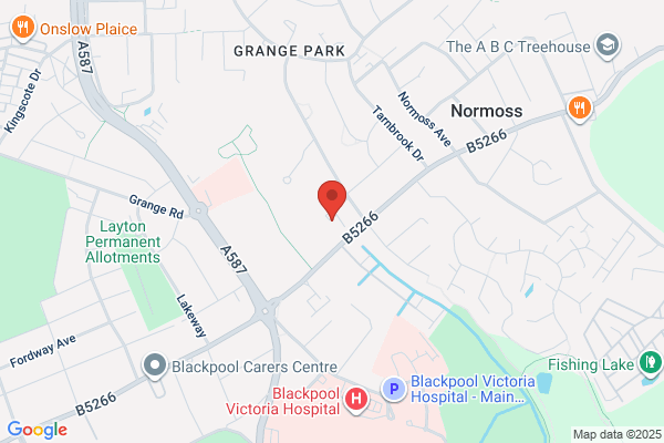 The Newton Drive Surgery