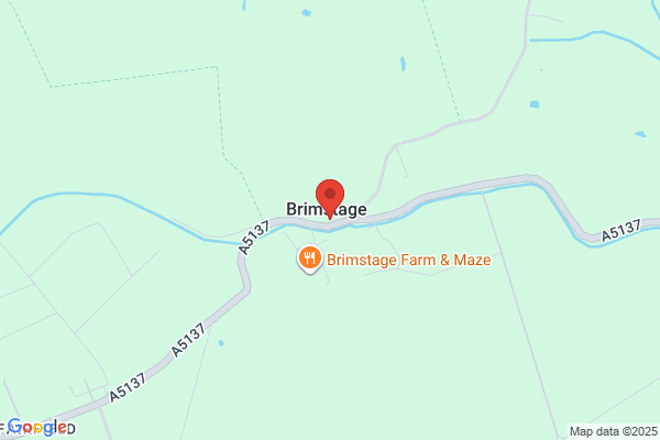 Village Bears