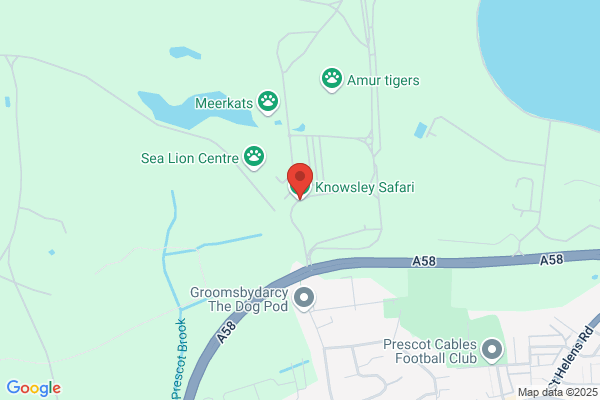 Knowsley Safari Park