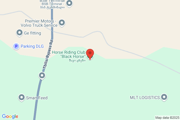 Blackhorse