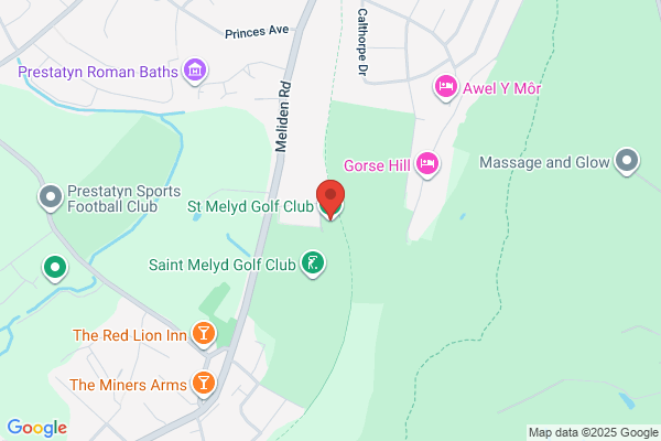 St Melyd Golf Club Ltd