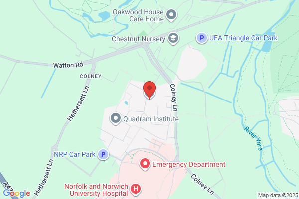 NBES Centre For Forescasting