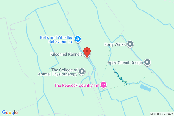 Chinnor Hill Kennels & Cattery