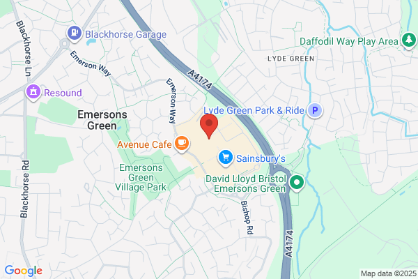 Pets at Home Bristol Emersons
