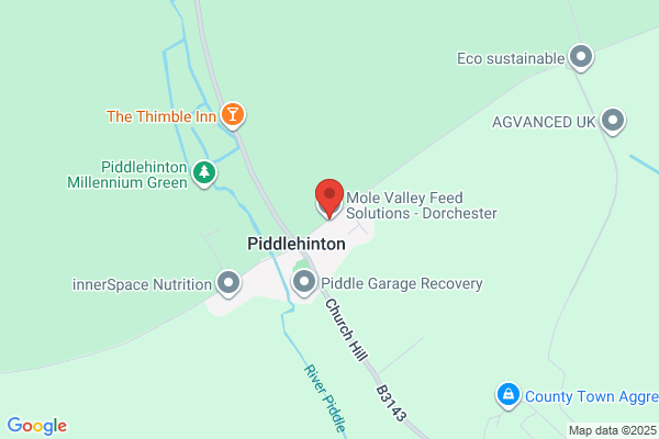 Mole Valley Feed Solutions - Dorchester