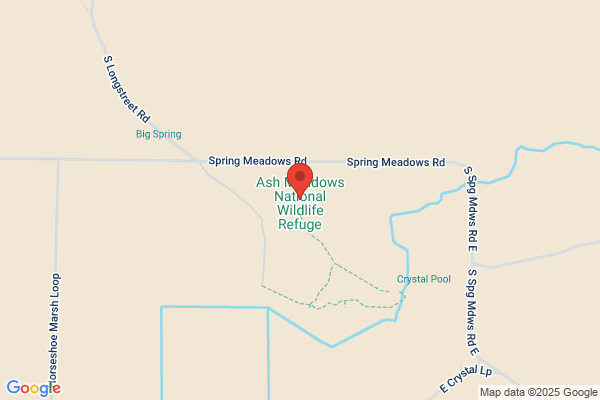 Ashmeadows