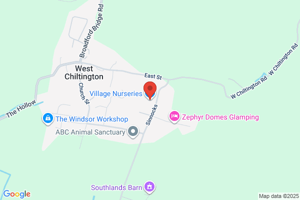 The Village Nurseries