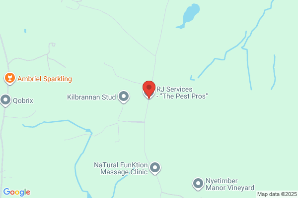 Ives Services
