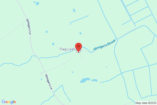 Flag Leaf Limited