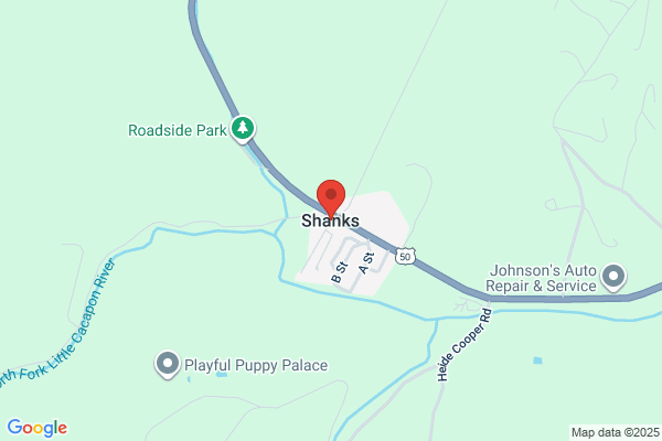 Shanks