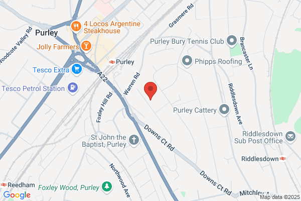 Wasp Nest Removal Croydon