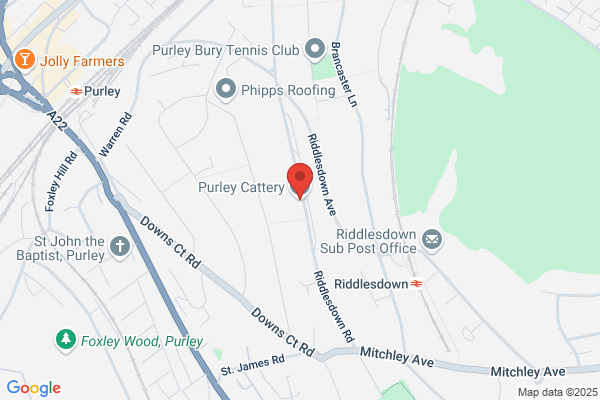 Purley Cattery