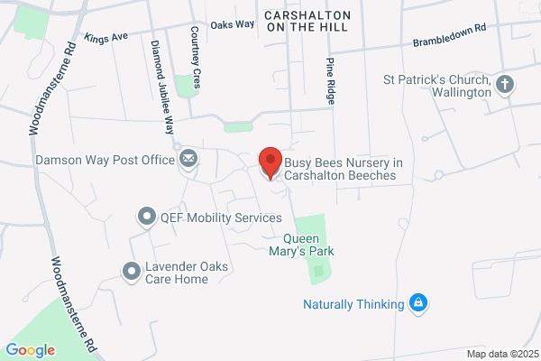 Busy Bees at Carshalton Beeches