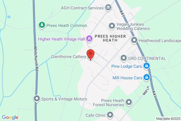 The Whitchurch Cattery