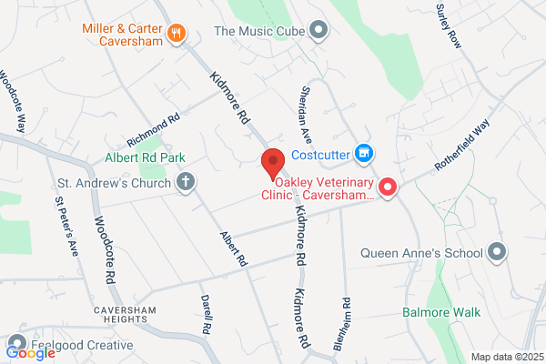 Caversham Data Projects Ltd
