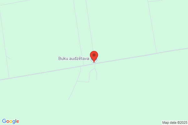 Buku