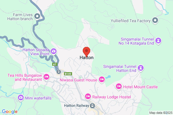 N Hatton
