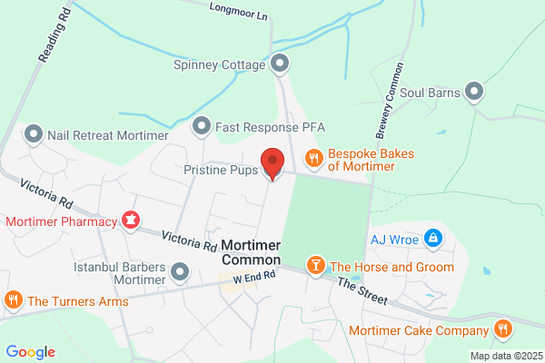 Mortimer Dog Grooming