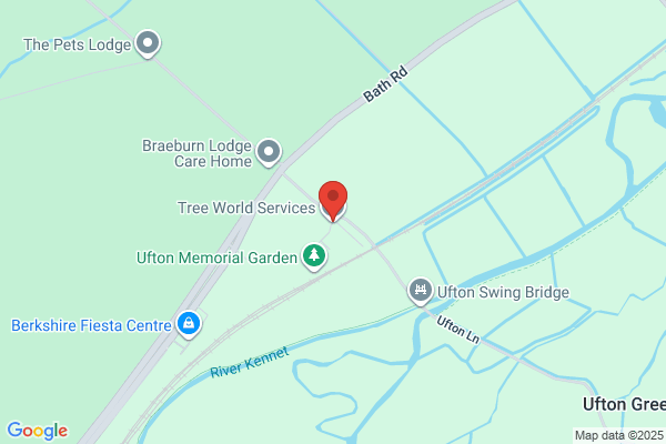 Tree World Services Ltd