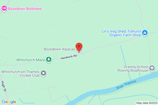 Bozedown Alpacas