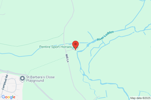 Pentire Sport Horses (GB)