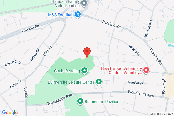 Bulmershe Gymnastics Club