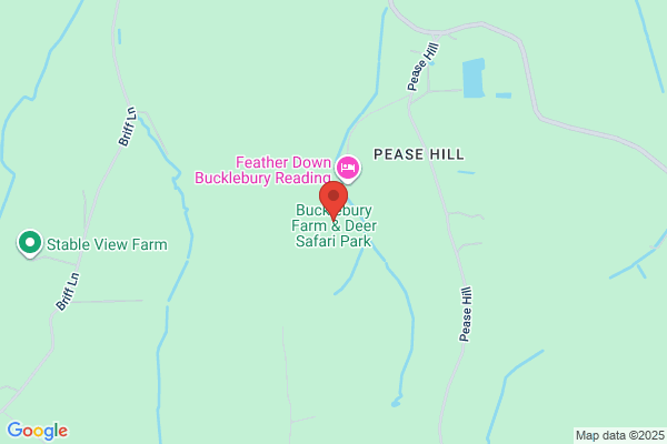 Bucklebury Farm Park