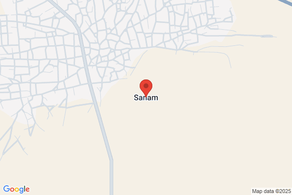 Sanam