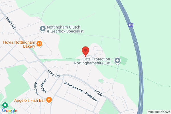 Avondale Of Nottingham Ltd