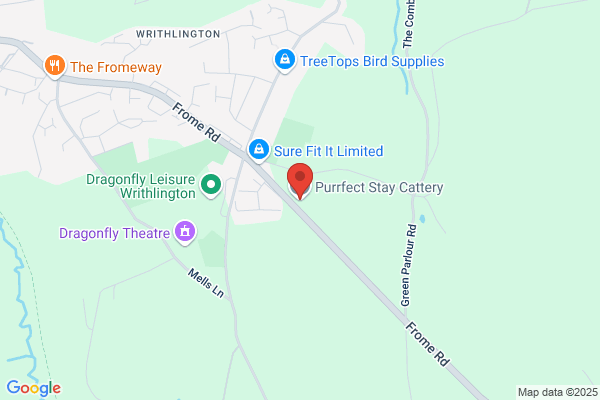 Stonecroft Cattery