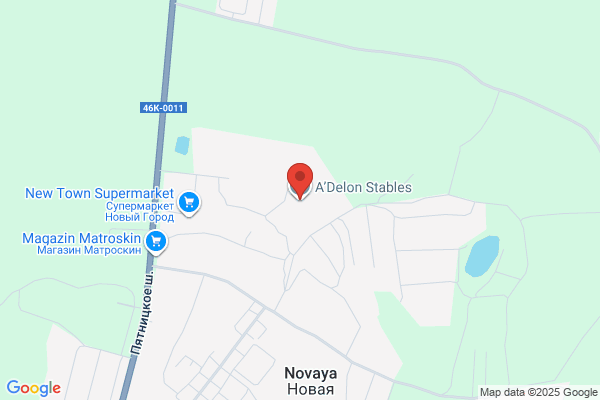 N Stables
