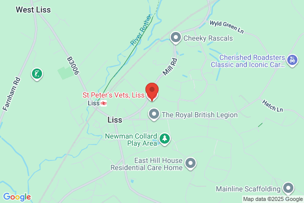 St Peter's Vets, Liss
