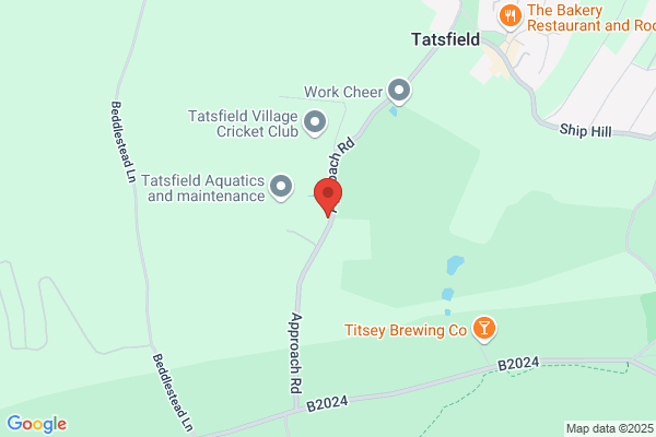 Acacia Tree Surgeons