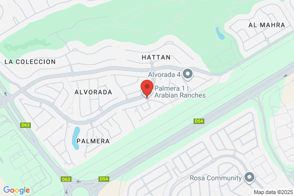 Palmera Properties