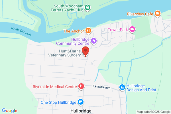 Best Friends Vet Group, Hullbridge