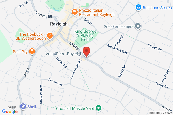 Vets4Pets - Rayleigh