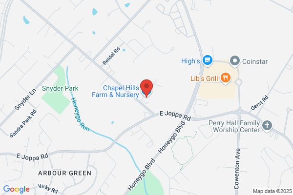 Chapel Hill Nursery