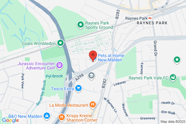 Companion Care - New Malden