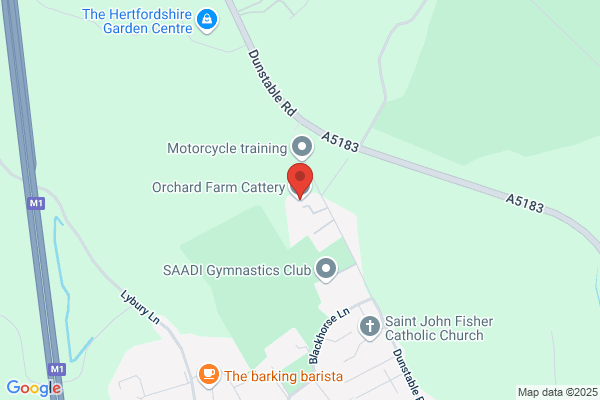 Orchard Farm Cattery