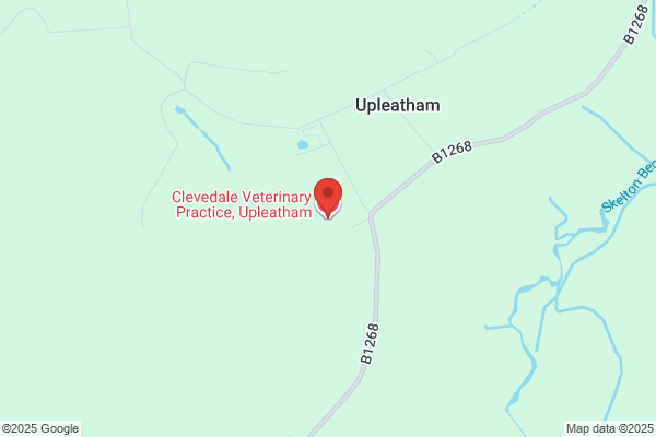 Clevedale Veterinary Practice, Upleatham Equine