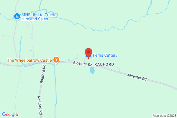 Feckenham Cattery