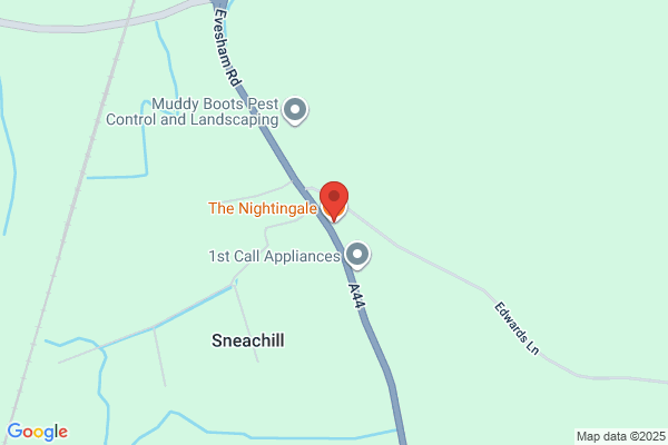 Nightingales
