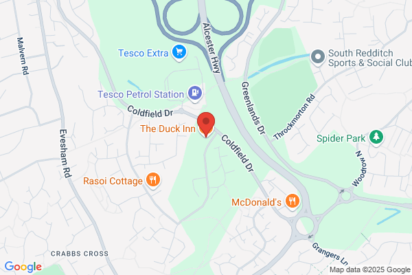 The Duck Pond