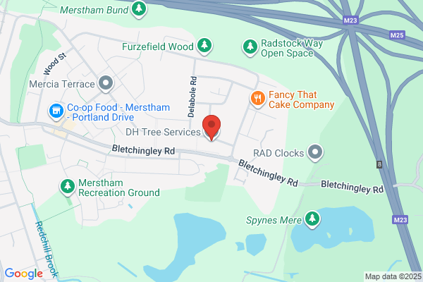 F & F Tree Care