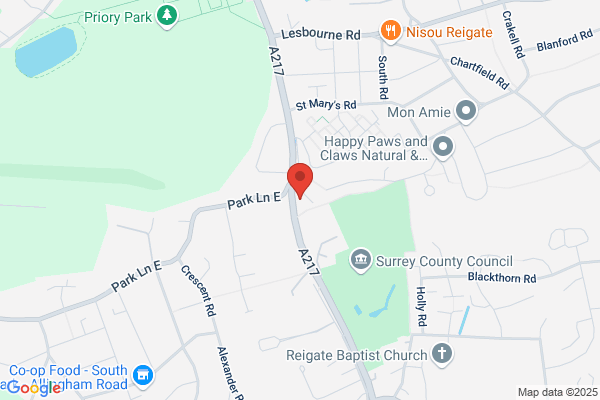 Pest Control Reigate