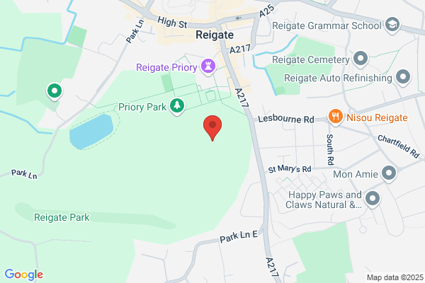 Reigate Town Club