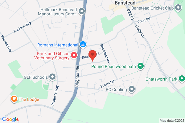 Wasp Nest removal Epsom