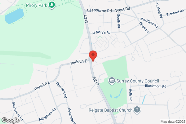 Pest Control Reigate