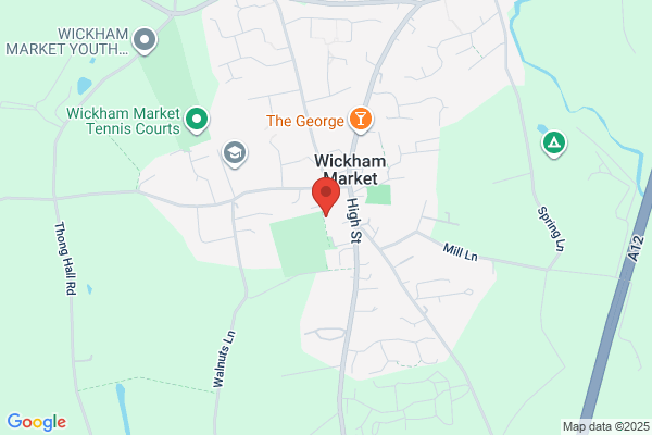 Wickham Market Football Club