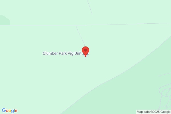 Pig Improvement Co Ltd